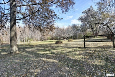 203 Lincoln Ave, Owaneco, IL 62555 - photo 7