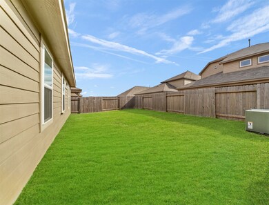 View of the backyard.