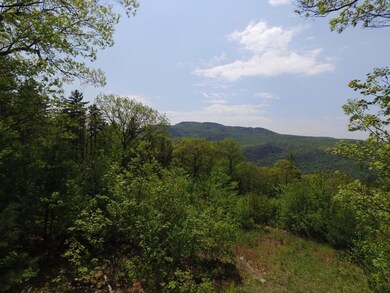 45 Blye Hill Landing, Newbury, NH 03255 - photo 2