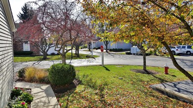View to the Front