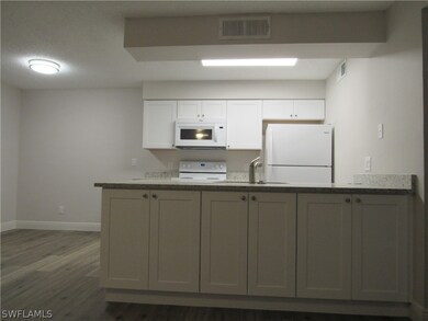 5315 Summerlin Rd unit 1516, Fort Myers, FL 33919 - photo 4