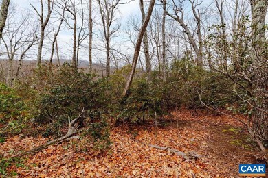 63 Gumtree Rd unit 108 LAUREL RIDGE, Roseland, VA 22967 - photo 7