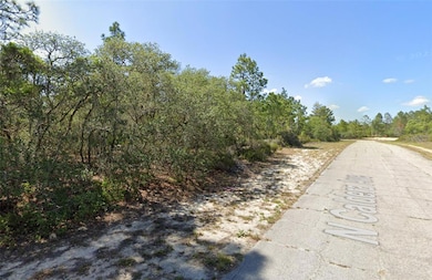 10660 N Caldera Ave, Citrus Springs, FL 34433 - photo 2