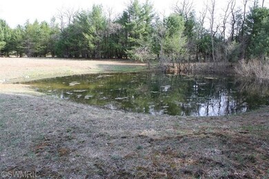 7574 N Centerline Rd, Brohman, MI 49312 - photo 5