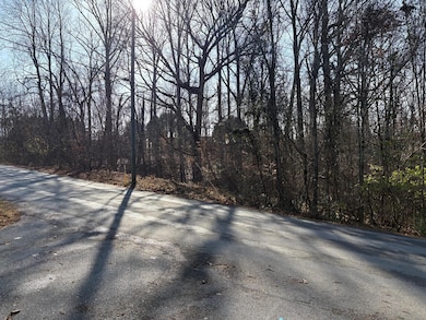 Lot 6 Blue Byrd Ln, Kodak, TN 37764 - photo 5