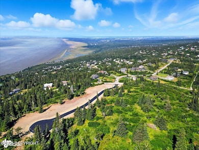 L9 Panorama Dr, Anchorage, AK 99507 - photo 2