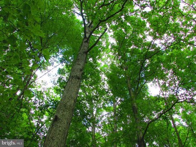 13 Rock Slide Way, Romney, WV 26757 - photo 6