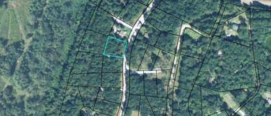 00 Pelican Point, Darien, GA 31305 - photo 4