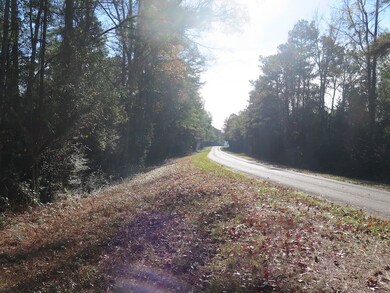County Hwy 34 unit LotWP001, Waynesboro, MS 39367 - photo 3