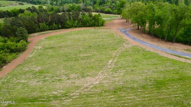 0 Clark Rd Somerset Farms Lot 4 unit 1226750, Rutledge, TN 37861 - photo 2