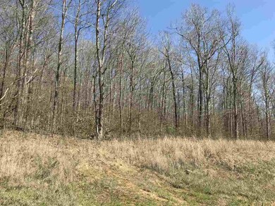 0 County Road 423, Epps Township, MO 63901 - photo 2