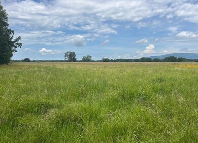 Tract 22 Waymire Road, Howe, OK 74940 - photo 7