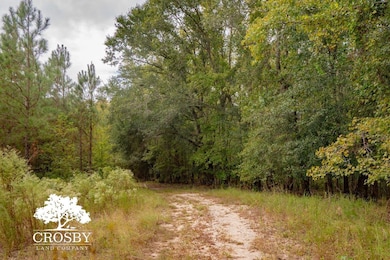 Tbd Thunder Rd, Olar, SC 29843 - photo 3