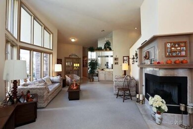 1154 Baythorne Dr unit 111, Flossmoor, IL 60422 - photo 2