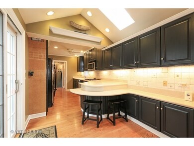 298 E Church St, Elmhurst, IL 60126 - photo 5