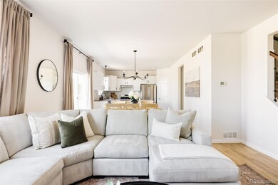 2899 Trinity Loop, Broomfield, CO 80023 - photo 5