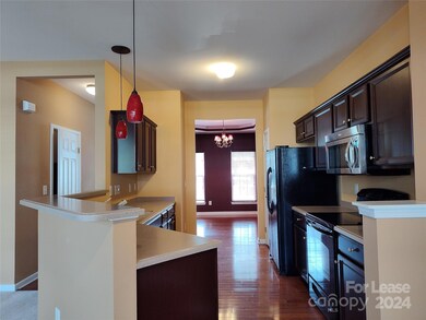 203 Snead Rd, Fort Mill, SC 29715 - photo 6