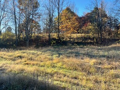 9955 Wiitala Rd, Copemish, MI 49625 - photo 4