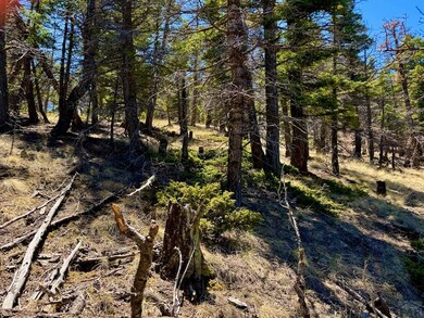 TBD Derigo Ln, Westcliffe, CO 81252 - photo 4