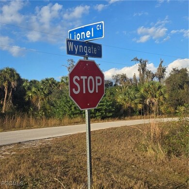 623 Lionel Ct, Lehigh Acres, FL 33972 - photo 6