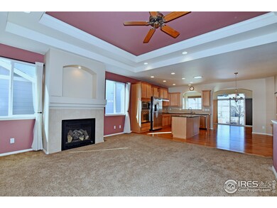 5937 Quarry St, Timnath, CO 80547 - photo 3