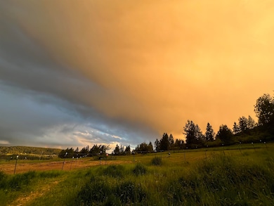 29411 N Dunn Rd, Chattaroy, WA 99003 - photo 5