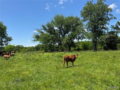 View of yard featuring a view of countryside