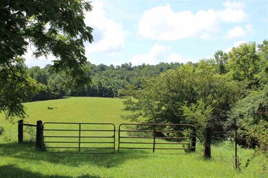 Parcel 40 Odom Rd, Rutledge, TN 37861 - photo 5