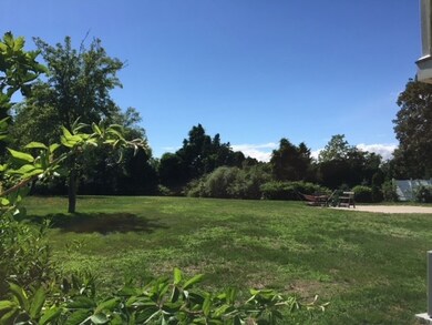 View of Back Yard