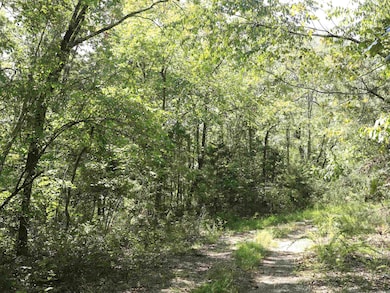 210 Bo Peep Cir, Horseshoe Bend, AR 72512 - photo 3