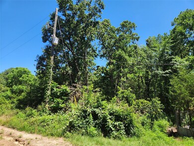 LOT 3 Youpon Dr, Plantersville, TX 77363 - photo 7