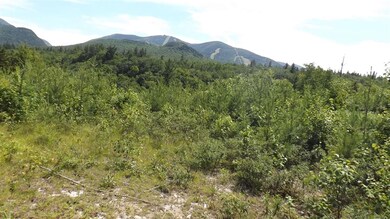 0 Notchway Dr, Franconia, NH 03580 - photo 4