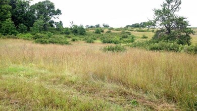 0 Hwy A unit 905098, Webster, WI 54893 - photo 7