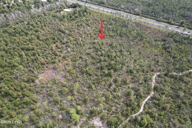 0000 Hwy 231 Hwy, Panama City, FL 32404 - photo 2