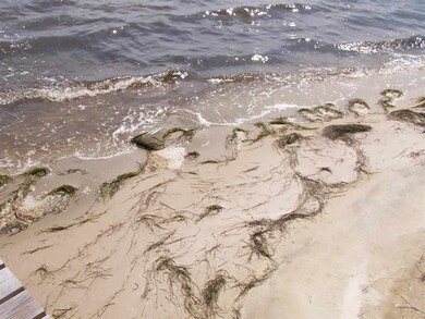 A SANDY BEACH WHEN THE TIDE IS RIGHT