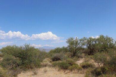 Clear Blue Skies