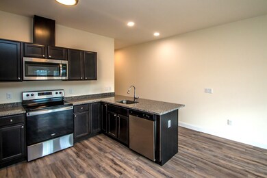 38 Alpine Place Dr unit 202, North Conway, NH 03860 - photo 5