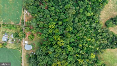 16304 Pleasant Mill Rd, Montpelier, VA 23192 - photo 4