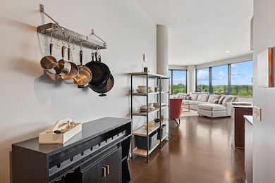 Cloud 9 at Sky Flats unit 517, Minnetonka, MN 55343 - photo 6