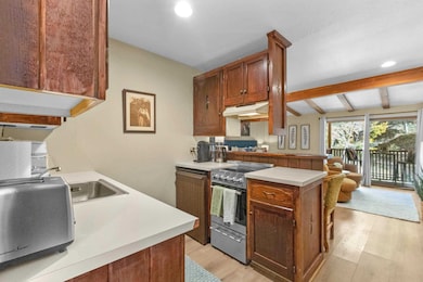 5 Ernie Blake Rd unit 304, Taos Ski Valley, NM 87525 - photo 4