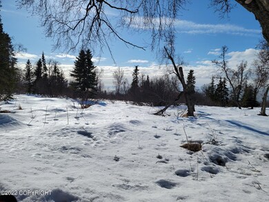 56600 Abalone Loop, Clam Gulch, AK 99568 - photo 4