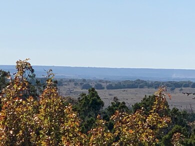 6525 Archerfield Ct W, Cleburne, TX 76033 - photo 3