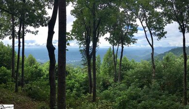 246 Bella Vista Ct unit CVN-CM-009, Zirconia, NC 28790 - photo 7