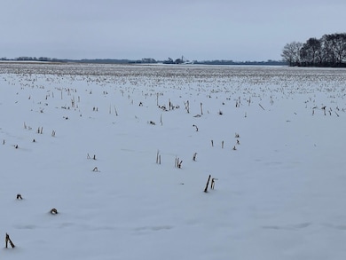 403 E 2nd St, Tampico, IL 61283 - photo 4