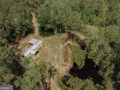 0 Dm Tillman, Baxley, GA 31513 - photo 4