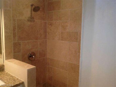Master Bath Shower
