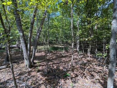 00 Marshall Rd, Appling, GA 30802 - photo 4