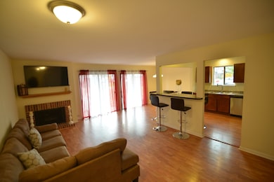 unlisted-address, Schaumburg, IL 60193 - photo 3