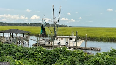 0 Pelican Perch Rd, Townsend, GA 31331 - photo 2