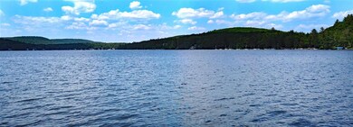 271 New Hampshire 9a unit 2, Chesterfield, NH 03462 - photo 6